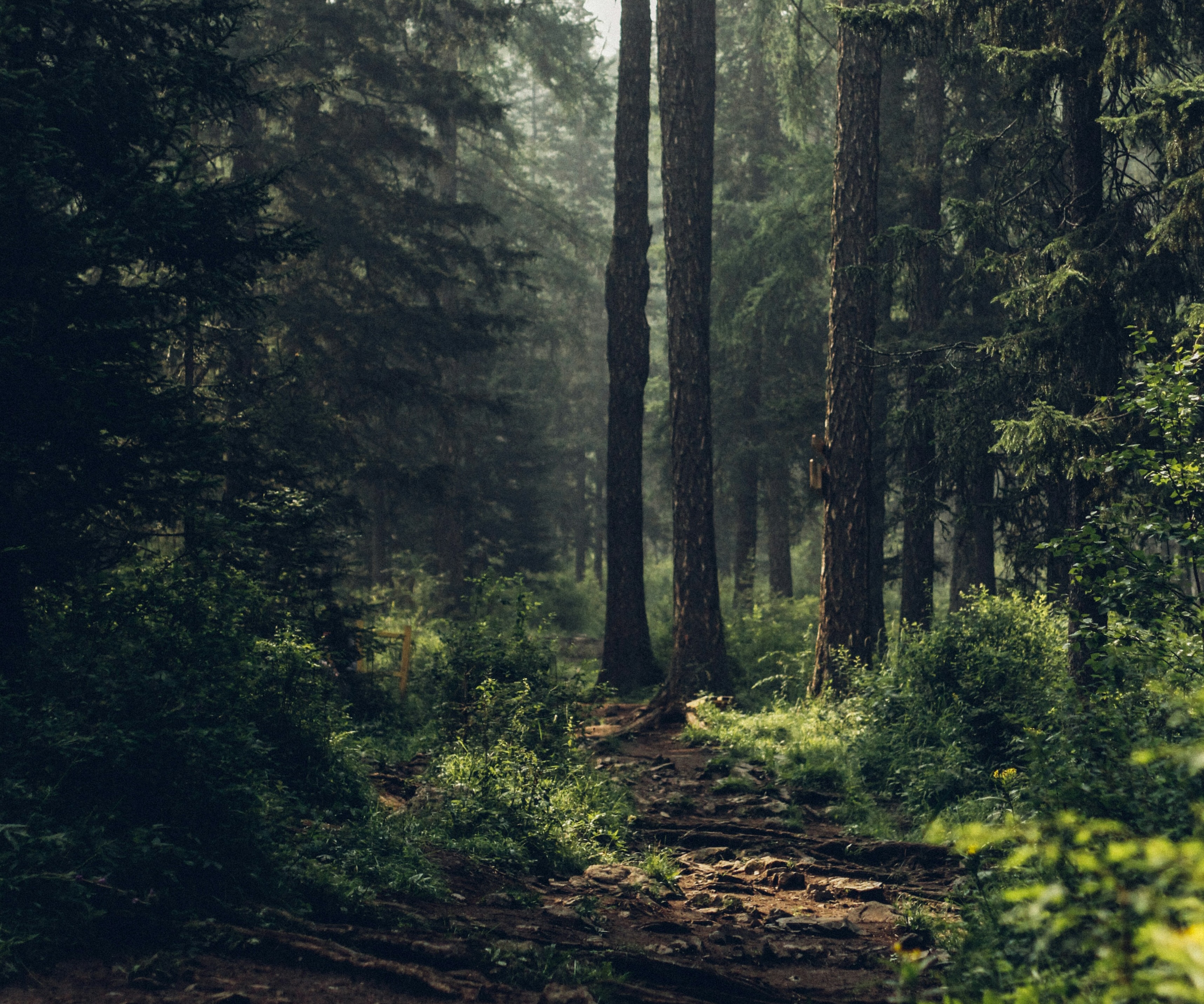 The Hiker's Retreat